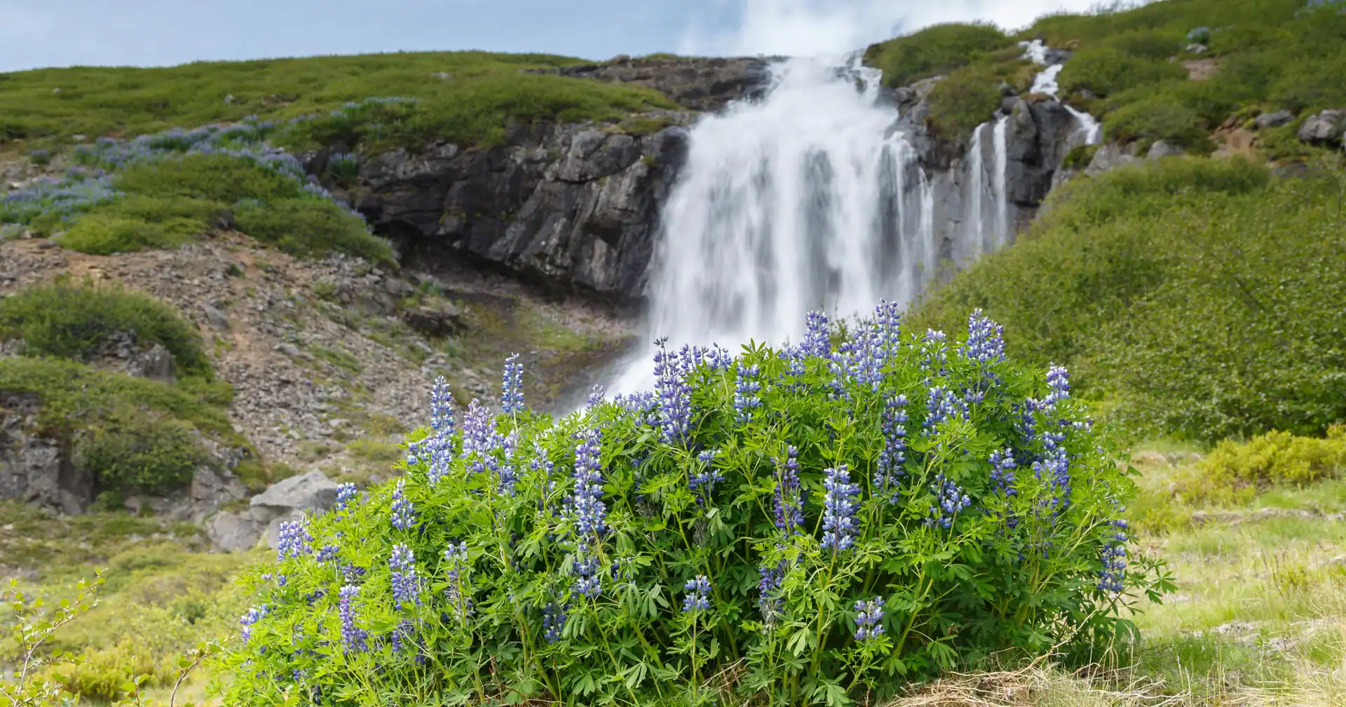 Vida & cultura de Isafjordur