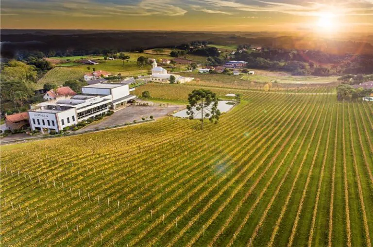 Tour Gran Reserva – Vale dos Vinhedos