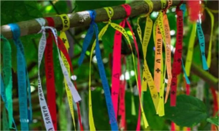 Passeio Tour Italiano em Nova Trento e Brusque