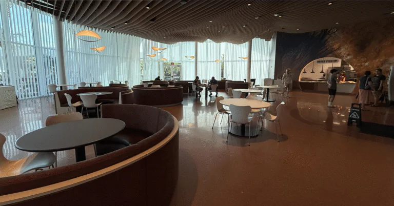 Cruzeiro Disney: Por Que Essa é Uma das Viagens Mais Mágicas do Mundo